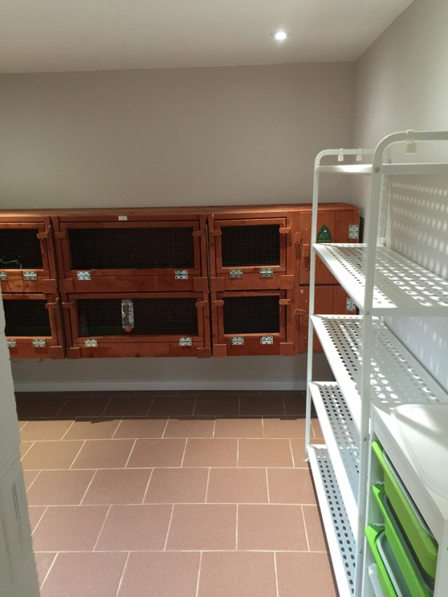 animal_boarding_paint_job